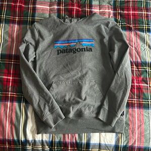 Patagonia Gray Sweatshirt with Blue and Purple Logo